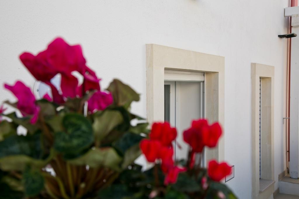 Residence Giuliana Santa Maria di Leuca Екстер'єр фото